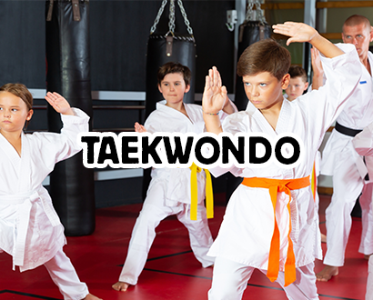 Taekwondo